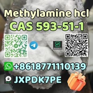 593-51-1-methylamine hcl-8618771110139-@alicezhang-JXPDK7PE .1