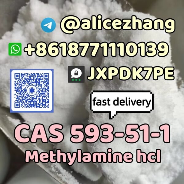593-51-1-methylamine hcl-8618771110139-@alicezhang-JXPDK7PE .3
