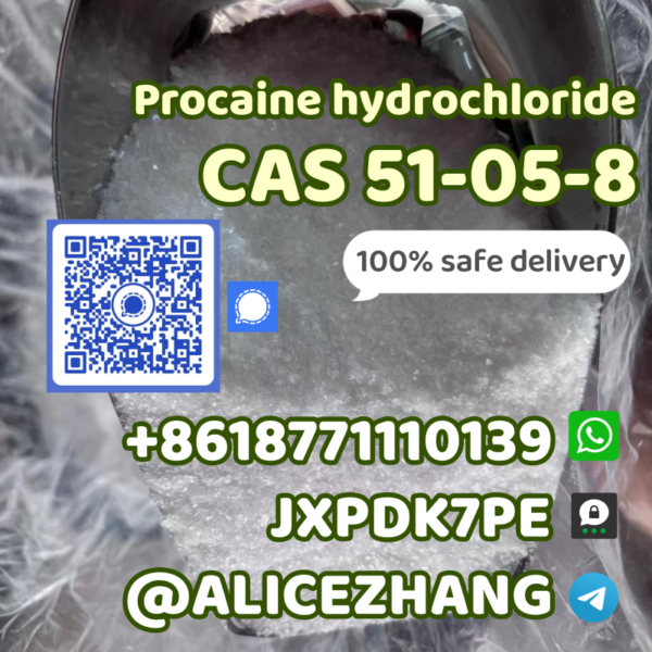 51-05-8-procaine-8618771110139-JXPDK7PE-@alciezhang .3