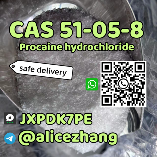 51-05-8-procaine hcl-8618771110139-@alicezhang-JXPDK7PE .1